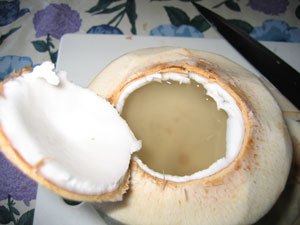 Refreshing young coconut water